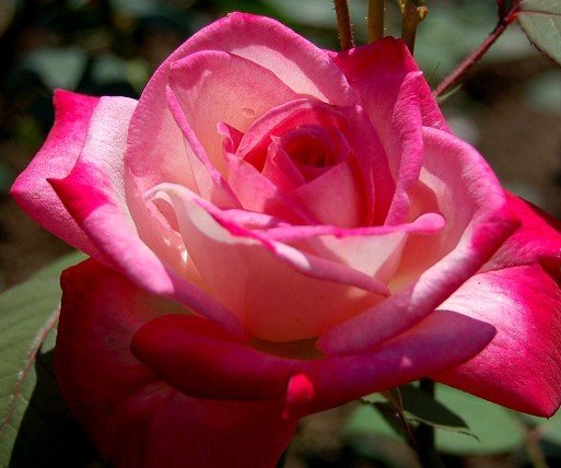 切记13种情况<em>夫妻</em>禁<em>过性生活</em>_大渝网_腾讯网