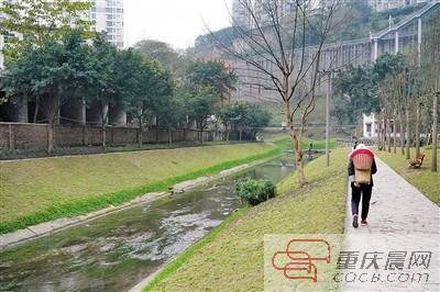 1月14日,沙坪坝清水溪湿地公园 上游新闻记者 甘侠义 摄
