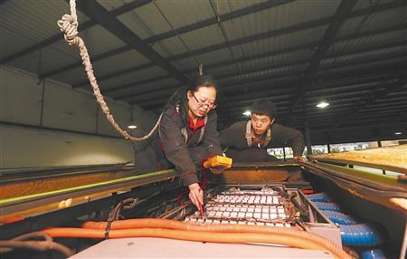 这个“女汉子”万里挑一 被同事戏称为“哥”