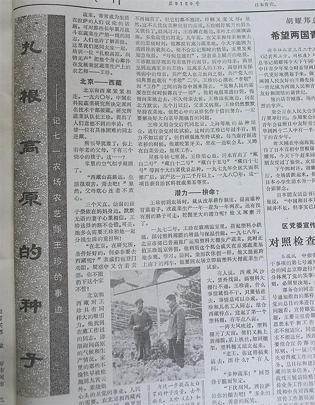 【老新闻·新故事】甘白山下农科院 瓜果梨桃样样有
