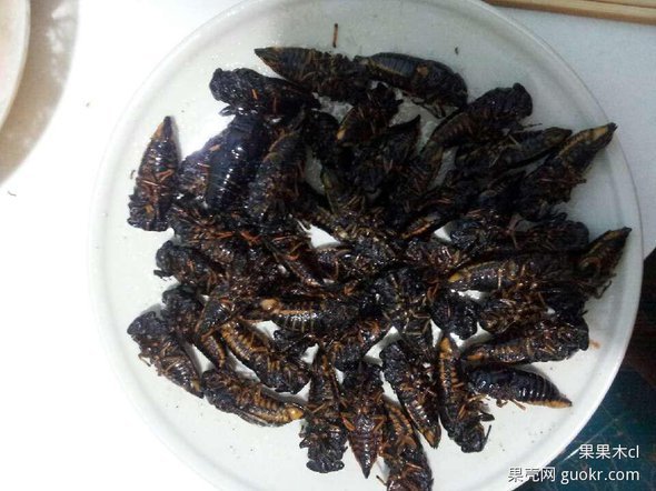 网友推荐油炸暗黑料理 重庆人很少吃蚕蛹