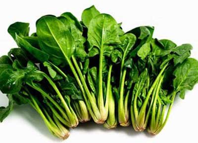 测测你身体里有多少毒素 菠菜可清理肠内热毒