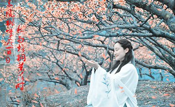 �ϴ��һ�ɽ�������������� ʮ���һ���