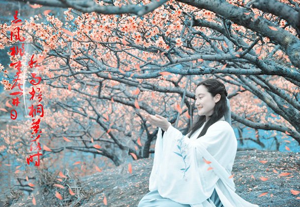 �ϴ����һ�ɽ���������������� ʮ���һ���֮��