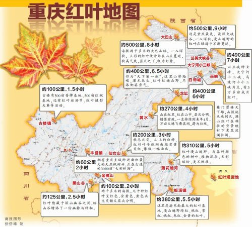 重庆公布红叶地图 罗列25处最佳赏叶地(图) 