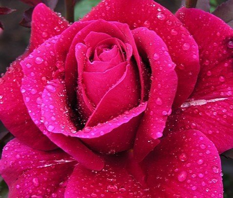 切记13种情况夫妻禁过性生活