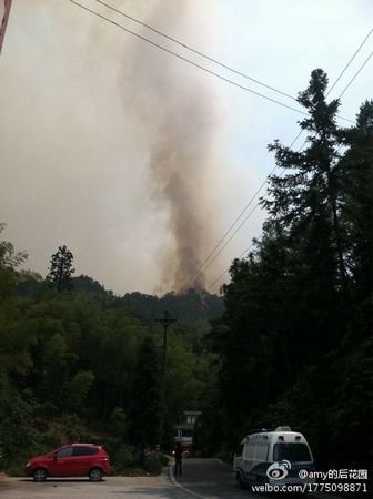 重庆永川茶山竹海景区发生森林火灾(图)