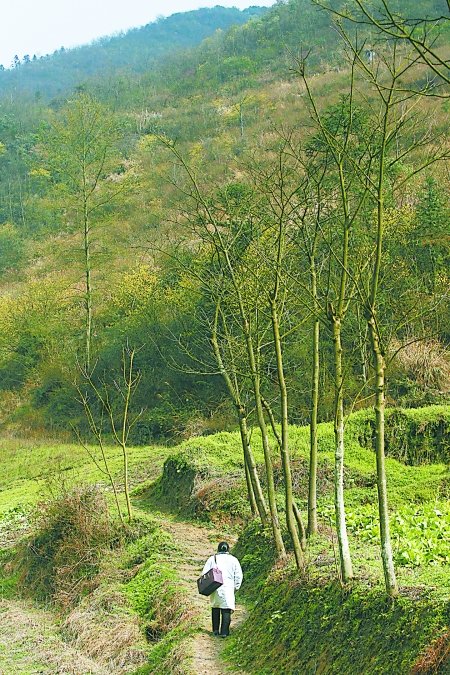 武隆农村人口_武隆仙女山(3)