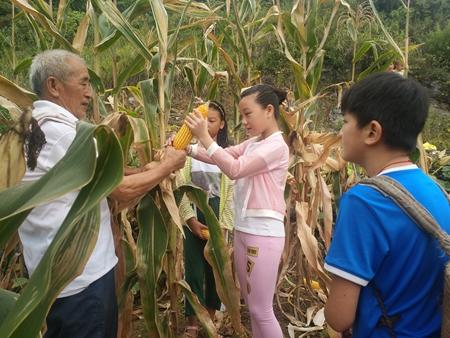 万盛:开展暑期青少年社会实践活动