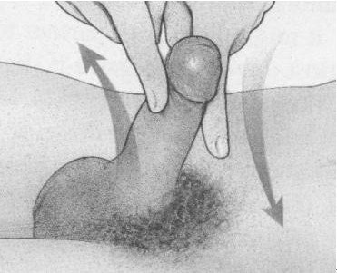 男人阴茎按摩保健实图全解