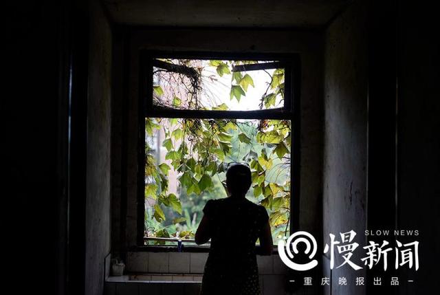 老厂房披满青藤犹如绿野仙踪 行走其间仿佛时光倒转