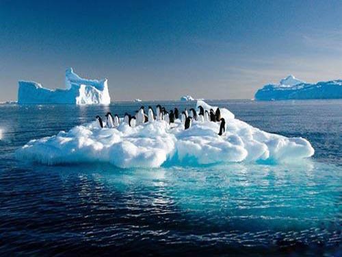 今年冬天极地旅游惊喜多 偷个假期去南极