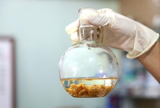 不必谈糖色变 勿需危盐耸听 也不因油废食