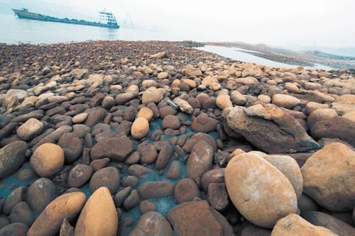 江边鹅卵石咋都生锈了?