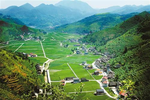 重庆农业综合开发高标准农田达169万亩