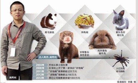 线上线下卖宠物 重庆崽儿年入千万