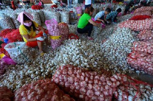 外媒称中国蒜价飙升85%:投机人士又嗅到钱味