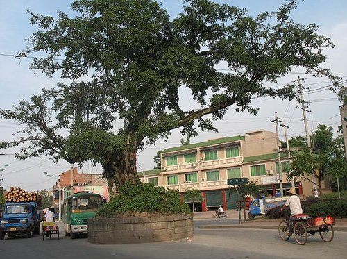 重庆民间工艺--蓝印花布