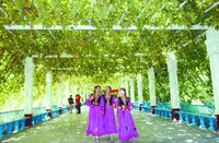 全景·新干线今秋将推三趟专列_重庆旅游资讯