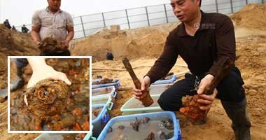 Zhengzhou gradilišta iskopali gotovo 500 bombi i neke dima Chi Chi
