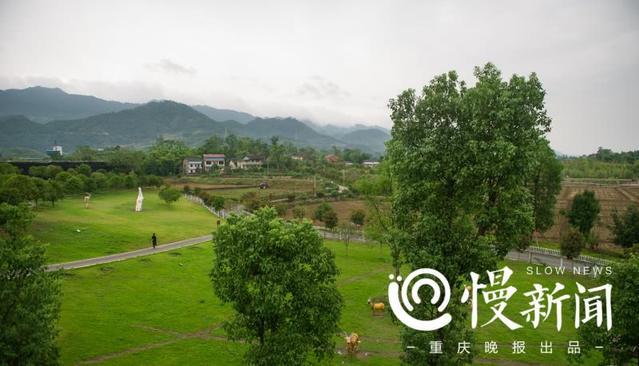 不留家产给子女!重庆亿万富豪回归田园当农民,投一亿多元种水稻