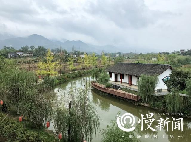 不留家产给子女!重庆亿万富豪回归田园当农民,投一亿多元种水稻