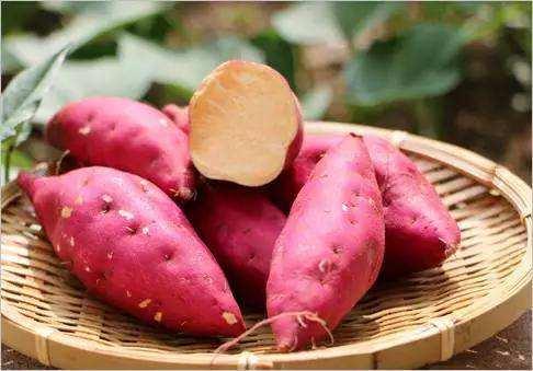 熟吃西红柿、每天一瓣蒜,这些降压方护住您的