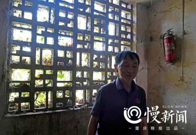 老厂房披满青藤犹如绿野仙踪 行走其间仿佛时光倒转