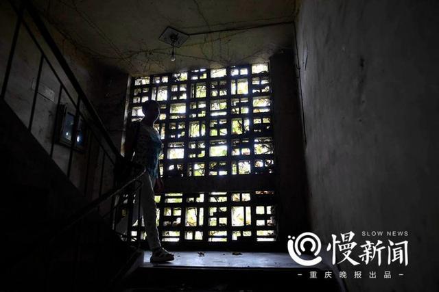 老厂房披满青藤犹如绿野仙踪 行走其间仿佛时光倒转
