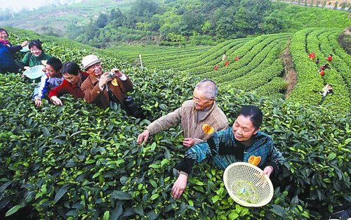 重庆开展我们的节日·重阳敬老活动 99个家