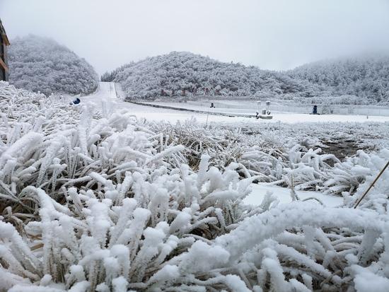 奉节茅草坝 冰花冰凌奇景阳光下熠熠生辉