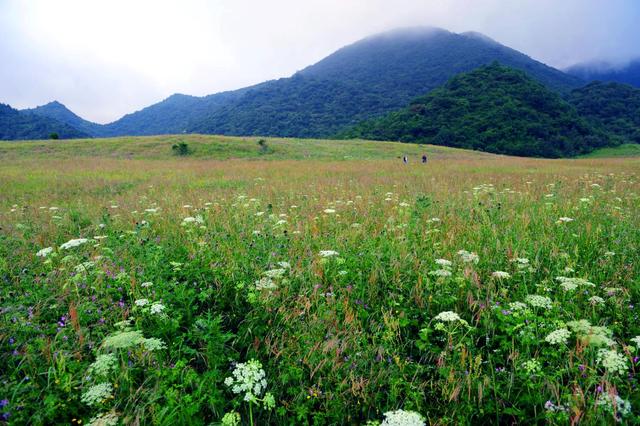 《重庆市乡村旅游电子地图》 开州6景区上榜