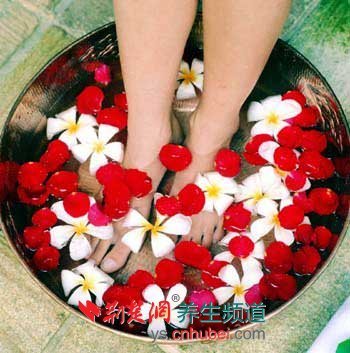 丹参泡脚的方法和作用