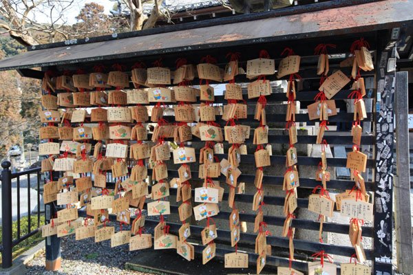 【春节时尚游】日本本州赏樱花7日特惠游