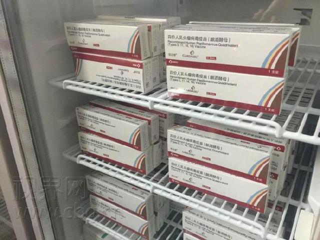 四价宫颈癌疫苗已覆盖重庆区县!