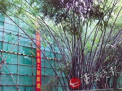 枇杷山公园即将改造升级