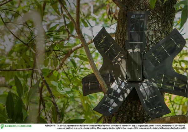 这些丛林中的太阳能旧手机 可监控盗伐和研究