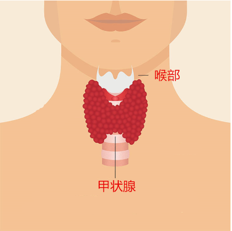 女性一生离不开的七种激素 第六种你肯定没听过