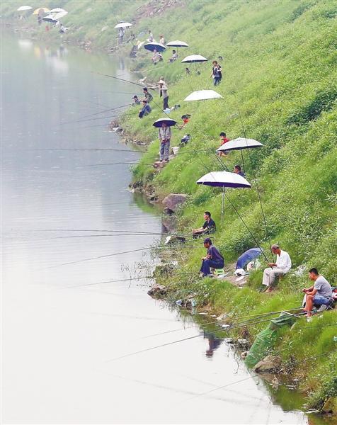 舒适怡人的天气,吸引了众多市民到渝中区珊瑚坝江边垂钓(6月12日摄