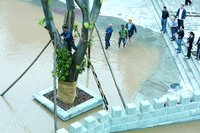 �c���g�[��D