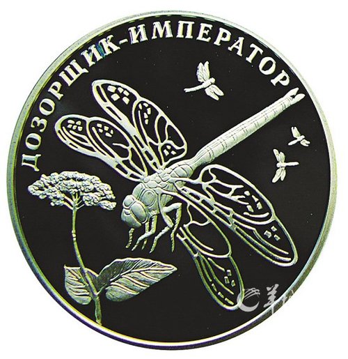 55346031.jpg