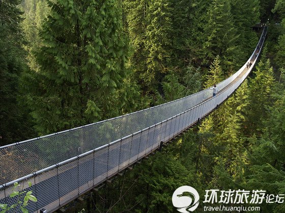 越老越坚固 挑战世界上最长的吊桥