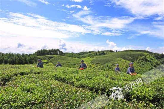 重庆有没有花果山?中国三峡乡村文化节给你