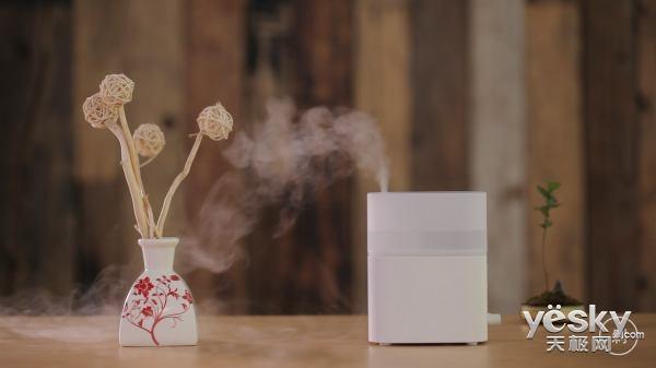 维护家庭湿度生态 加湿器的使用与维护技巧