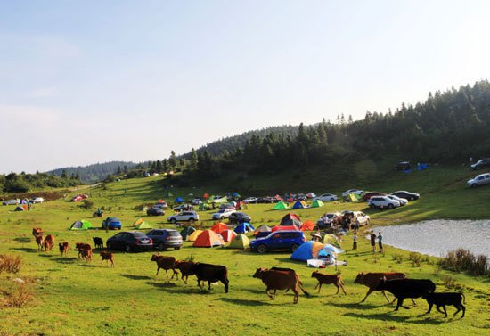 六一儿童节重庆周边旅游攻略_重庆中国青年旅