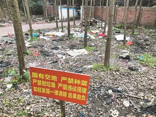 废弃垃圾随意丢 重庆一公园变垃圾场
