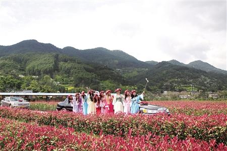 昨日全市最高温28℃ 今日雨来局地大雨