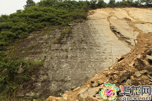 大足一处岩壁发现恐龙转弯行迹 专家称全球罕见 