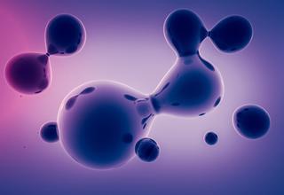 癌症迎生物治疗黄金时代 西南医院招癌患志愿