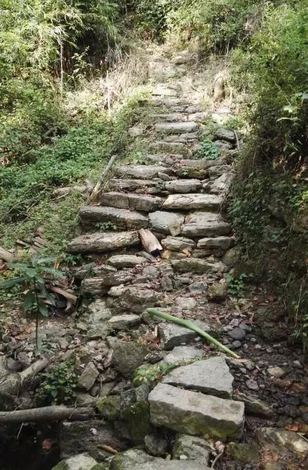 酉阳大山深处的神秘码头 原滋味的古村落